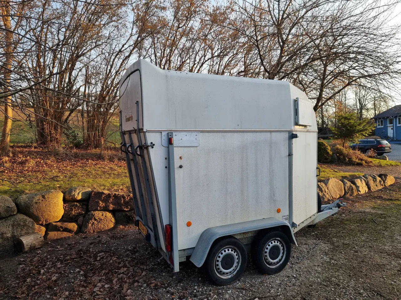 Billede 2 - 1500 kg. Hestetrailer UDLEJES