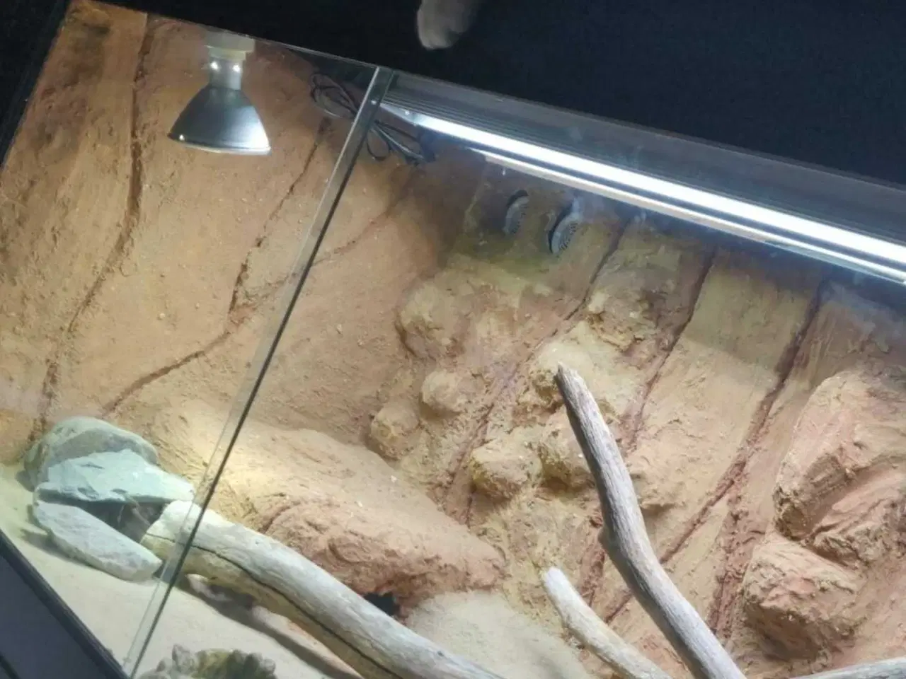 Billede 1 - Repti Terrarium