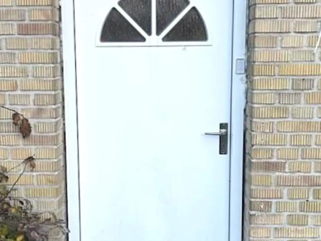 Billede 2 - Hoveddør med glas foroven. inkl. karm.
