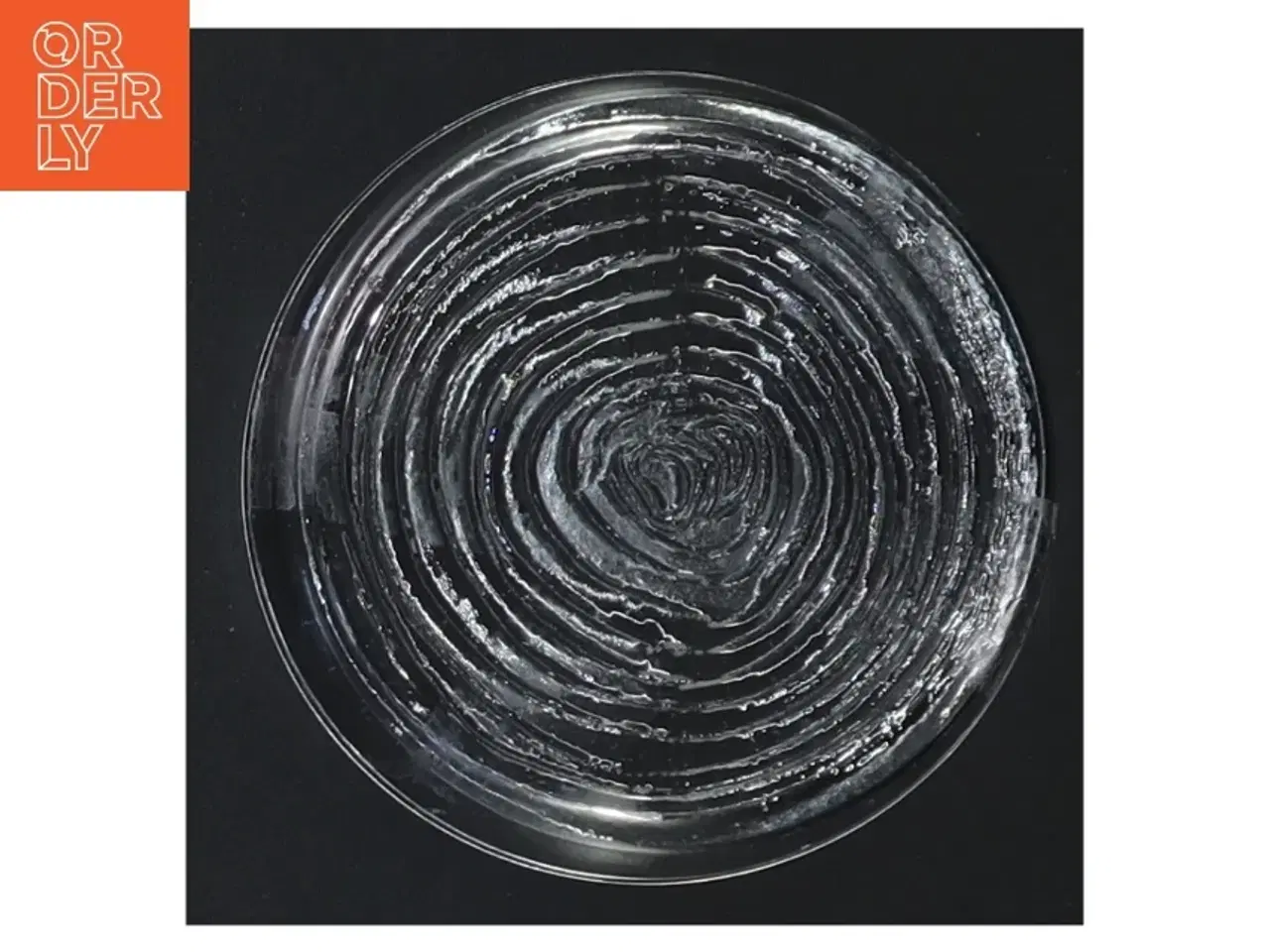 Billede 4 - Glas osteklokke med bakke (str. 10 cm)