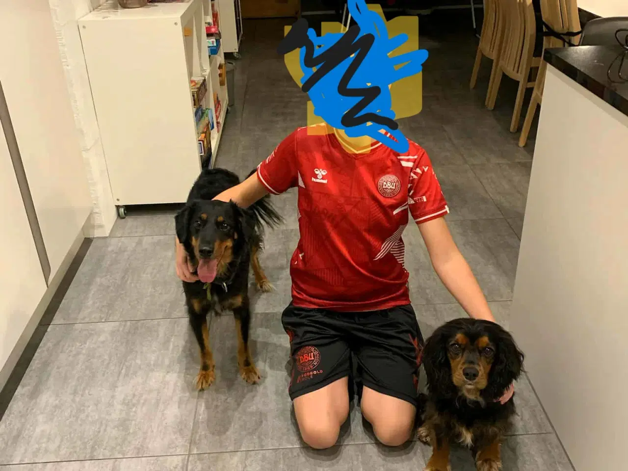 Billede 8 - Smukke milde kærlige Ozzy