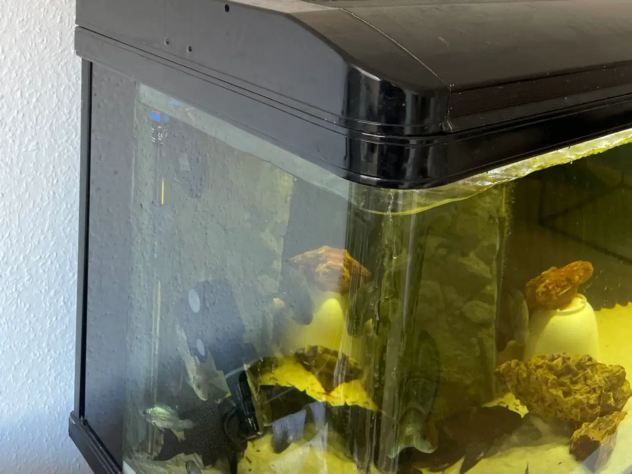 Billede 2 - 600 Liter akverie