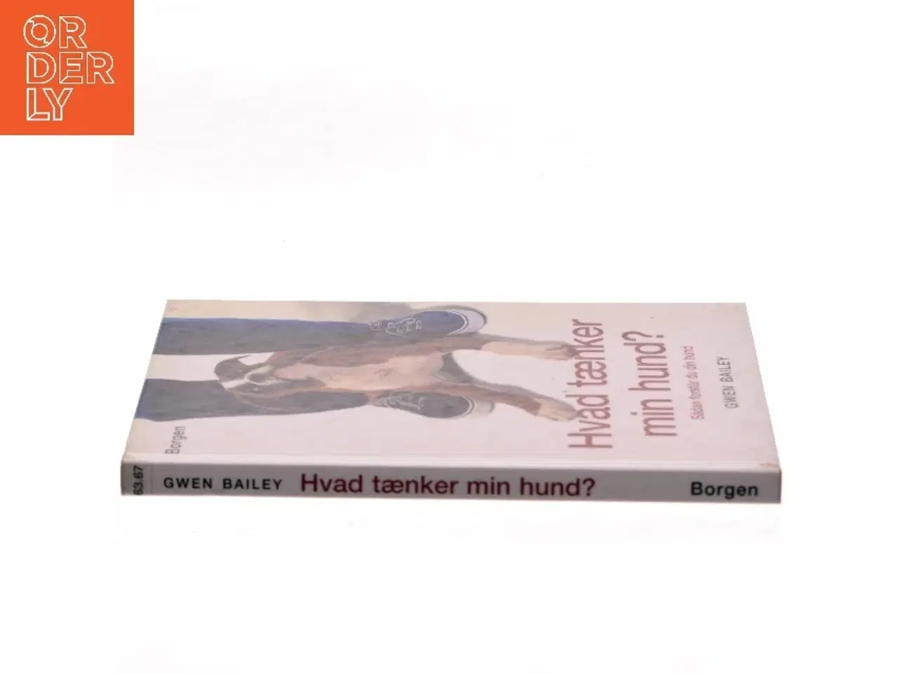 Billede 2 - Hvad tænker min hund? af Gwen Bailey (Bog)