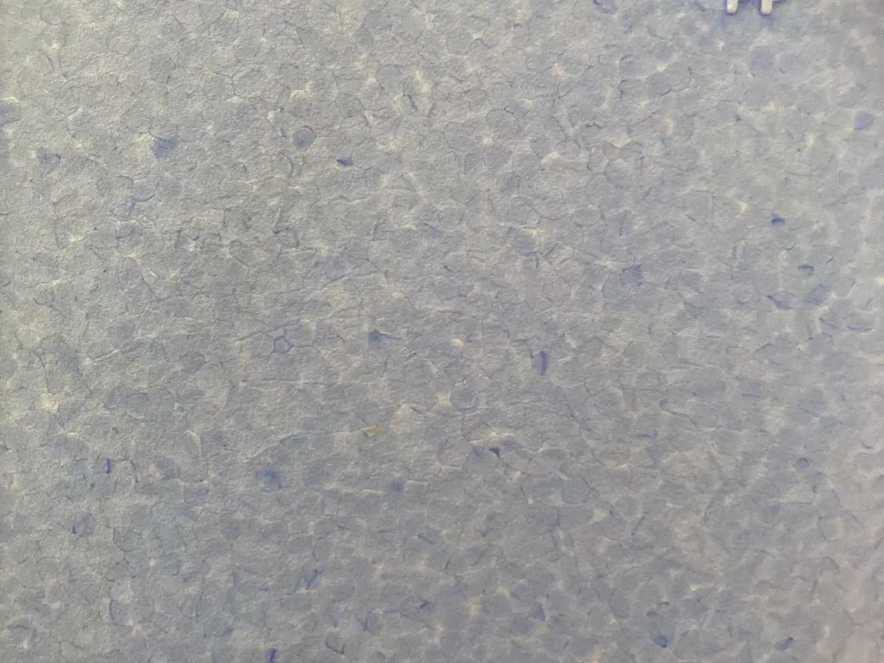 Billede 3 - Thermokasse 60 l