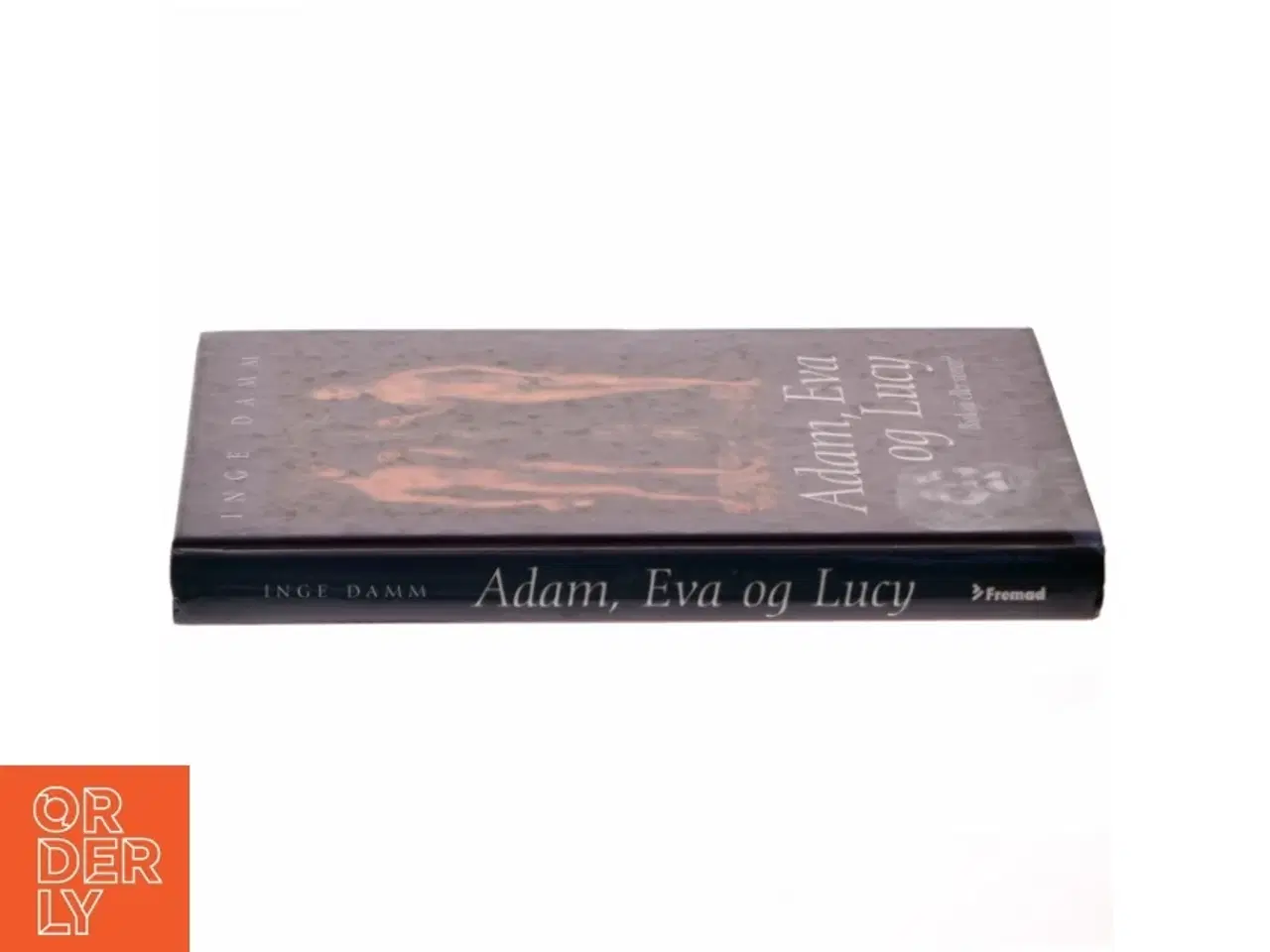 Billede 2 - Adam, Eva og Lucy : biologi eller vaner? af Inge Damm (Bog)