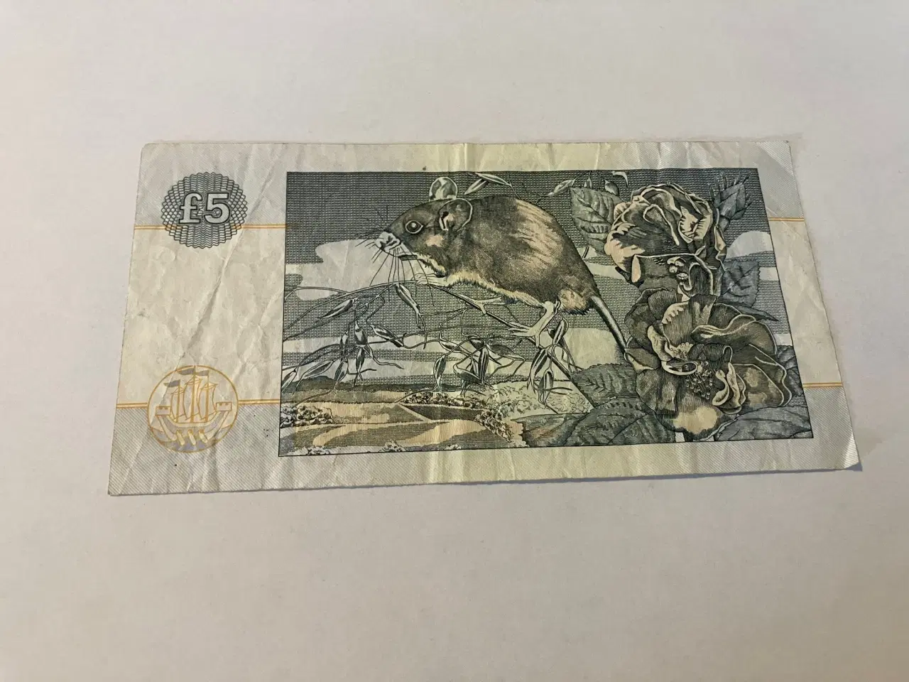 Billede 2 - 5 Pounds Scotland 2002