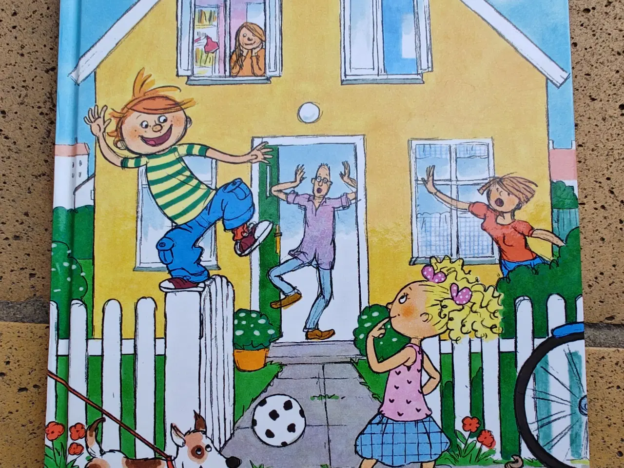 Billede 1 - Villads fra Valby BOG