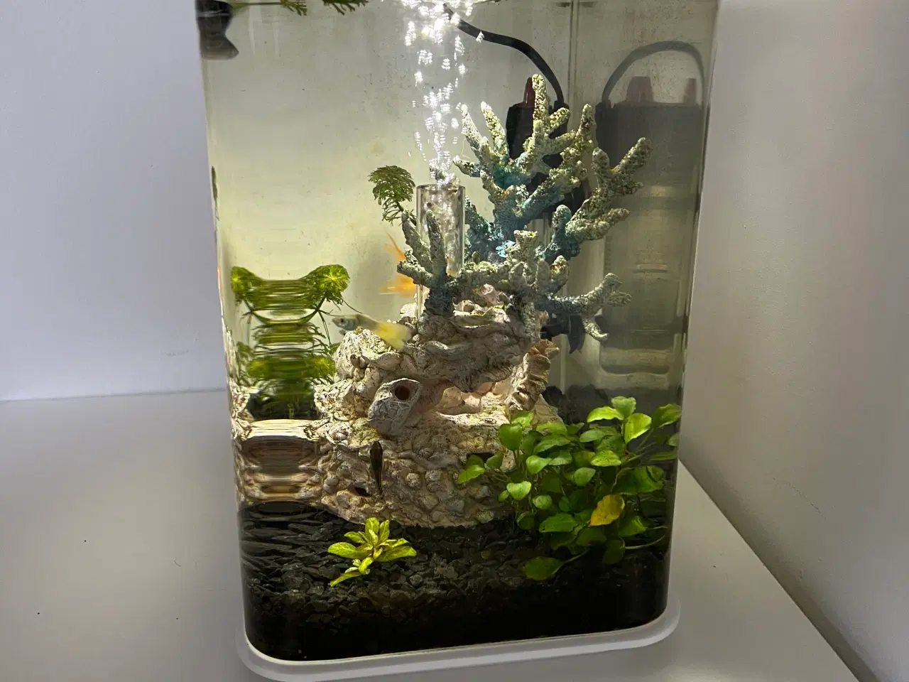 Billede 4 - Biorb akvarie (15 L)