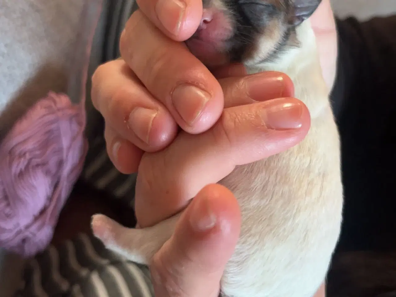 Billede 9 - Mini boomer 