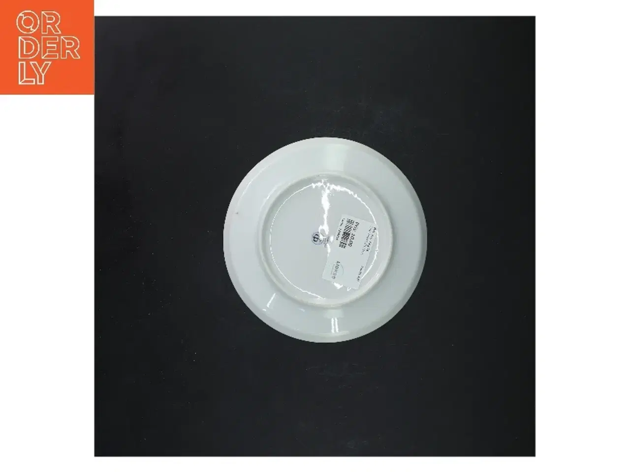 Billede 2 - Fiske motiv porcelænstallerkener, sæt af 5 fra Colditz (str. 5 styk, ø 17 cm)