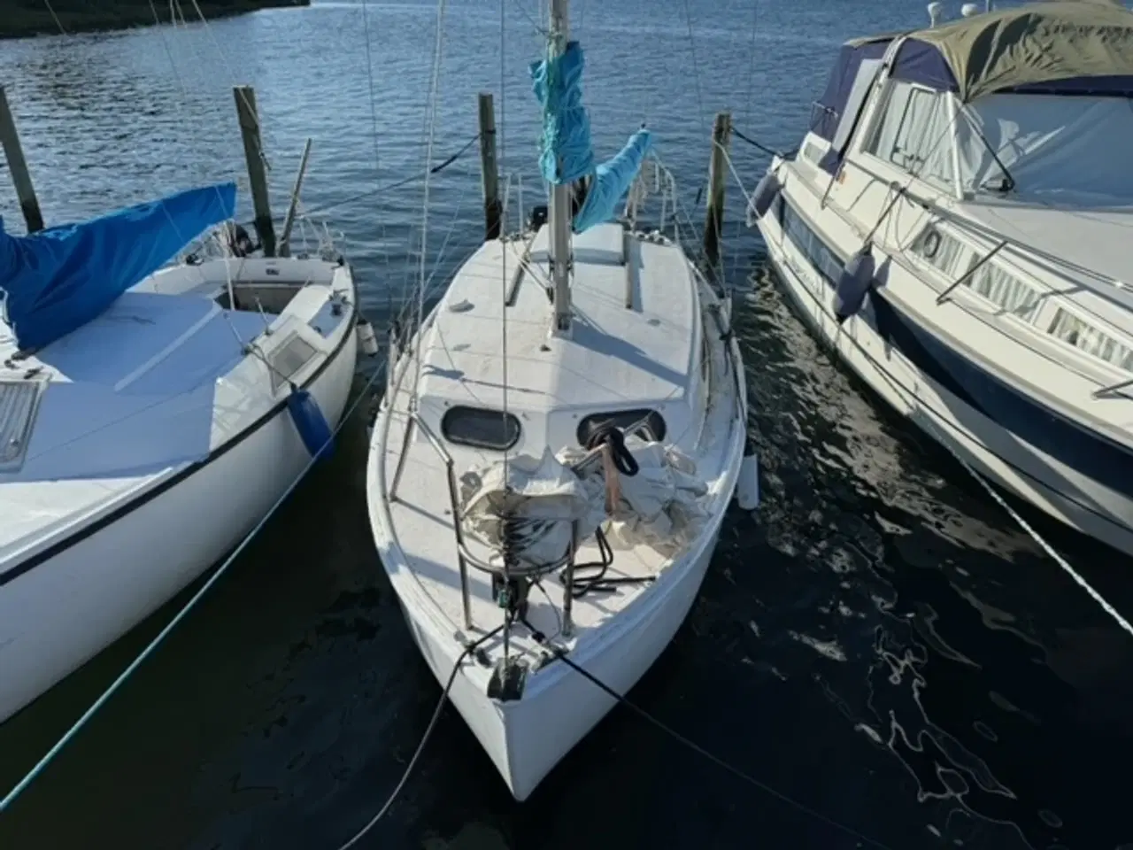 Billede 3 - Kingfisher 20 Sejlbåd