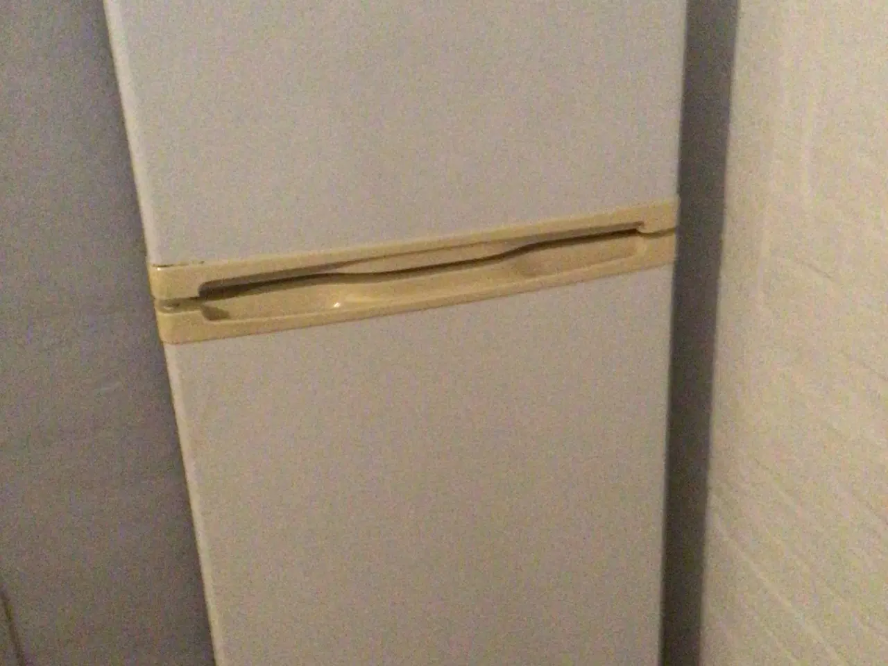 Billede 1 - Køle / fryseskab