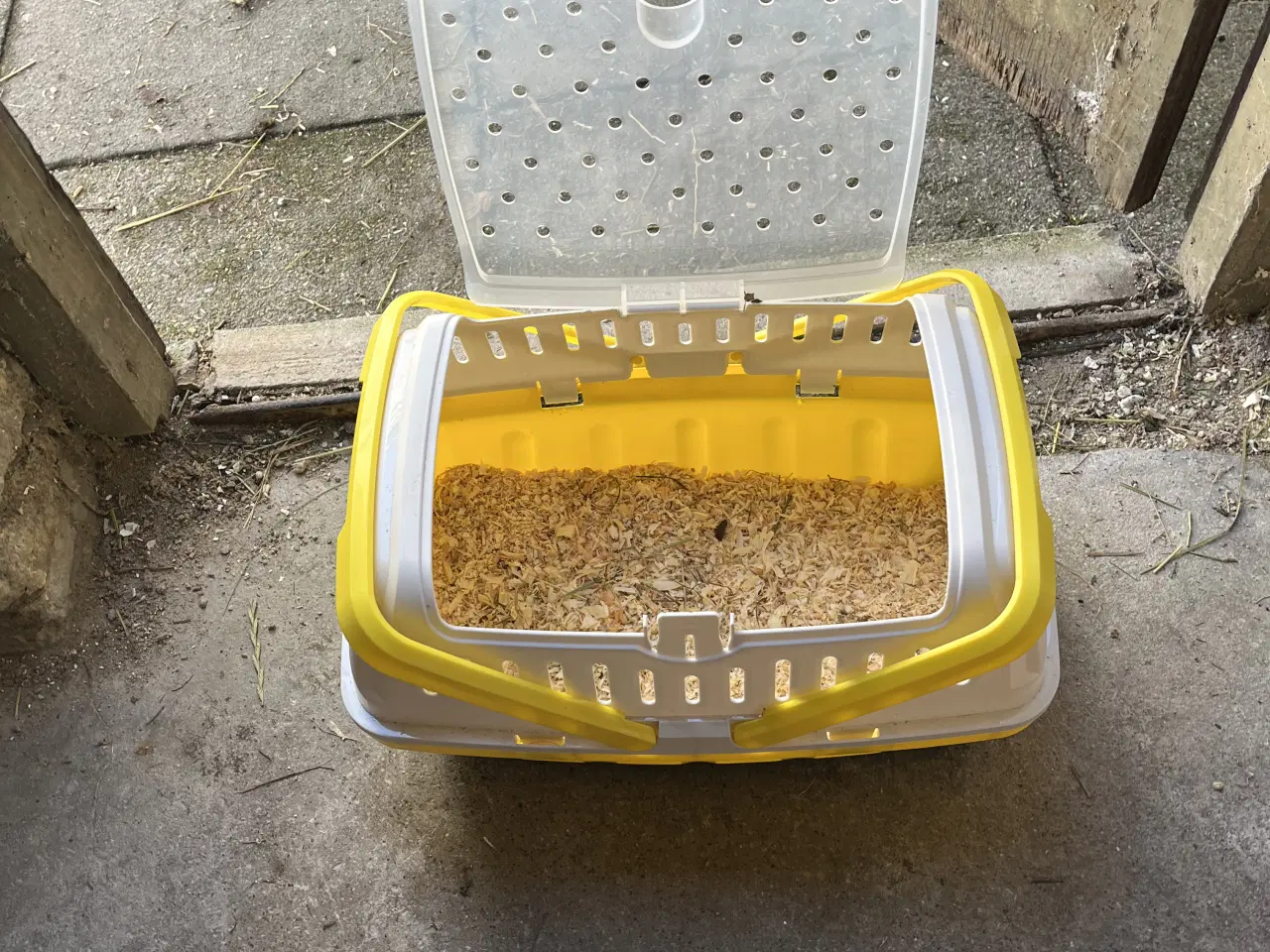 Billede 9 - Søde og håndtamme marsvin sælges 🐹