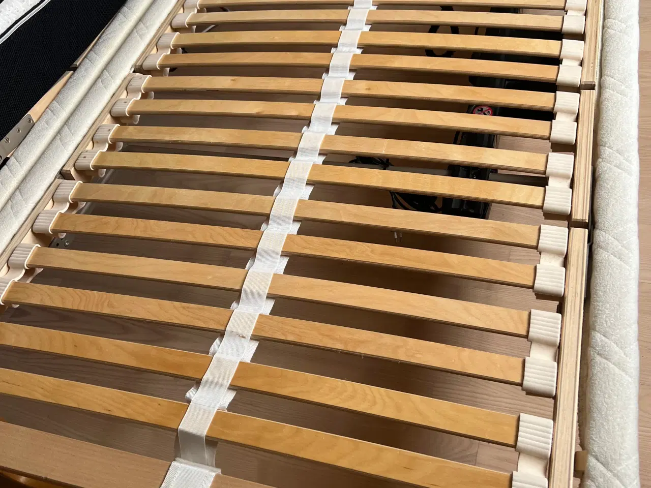 Billede 3 - Elevationsseng