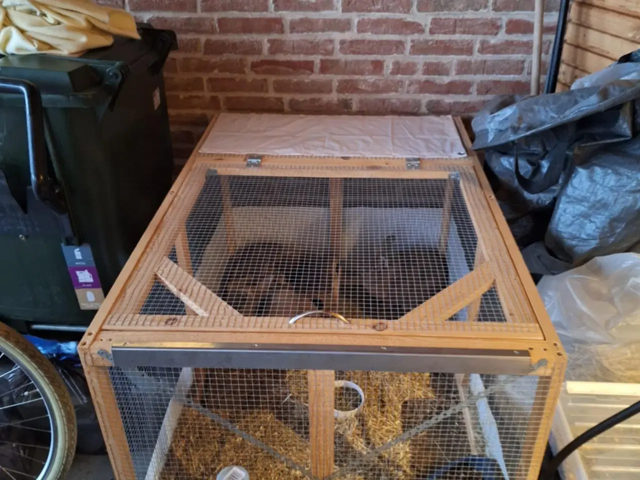 Billede 4 - To børnevenlige kaniner søger nyt kærligt hjem