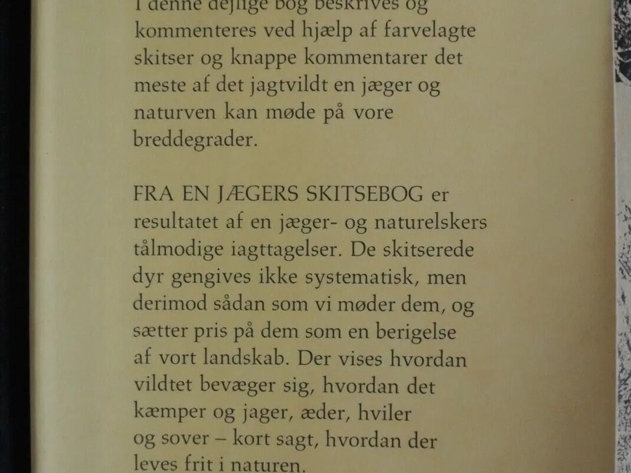 Billede 2 - fra en jægers skitsebog - på jagt med blyant og , 