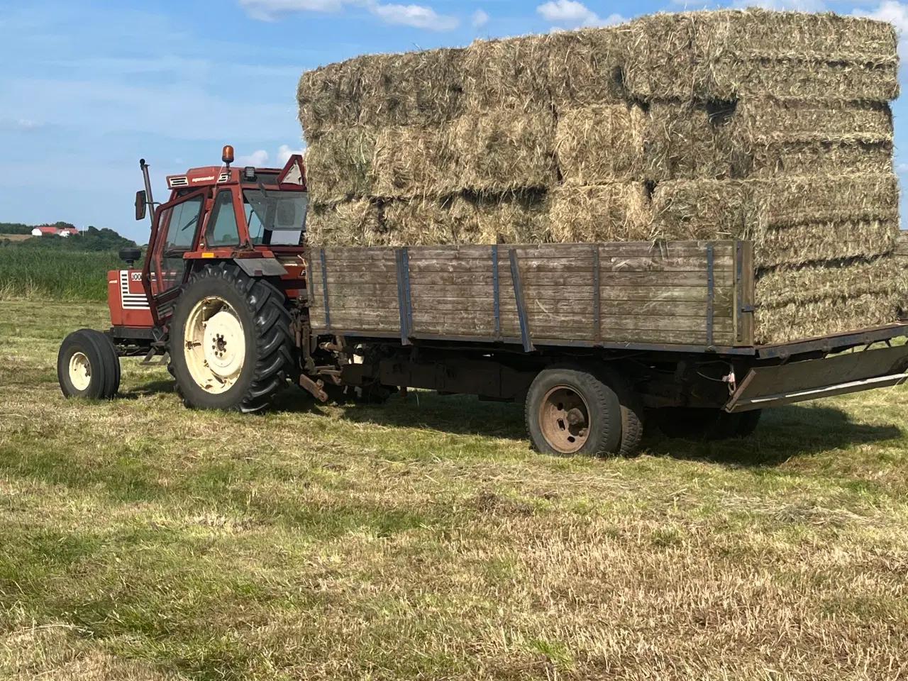 Billede 2 - Hø i mini big