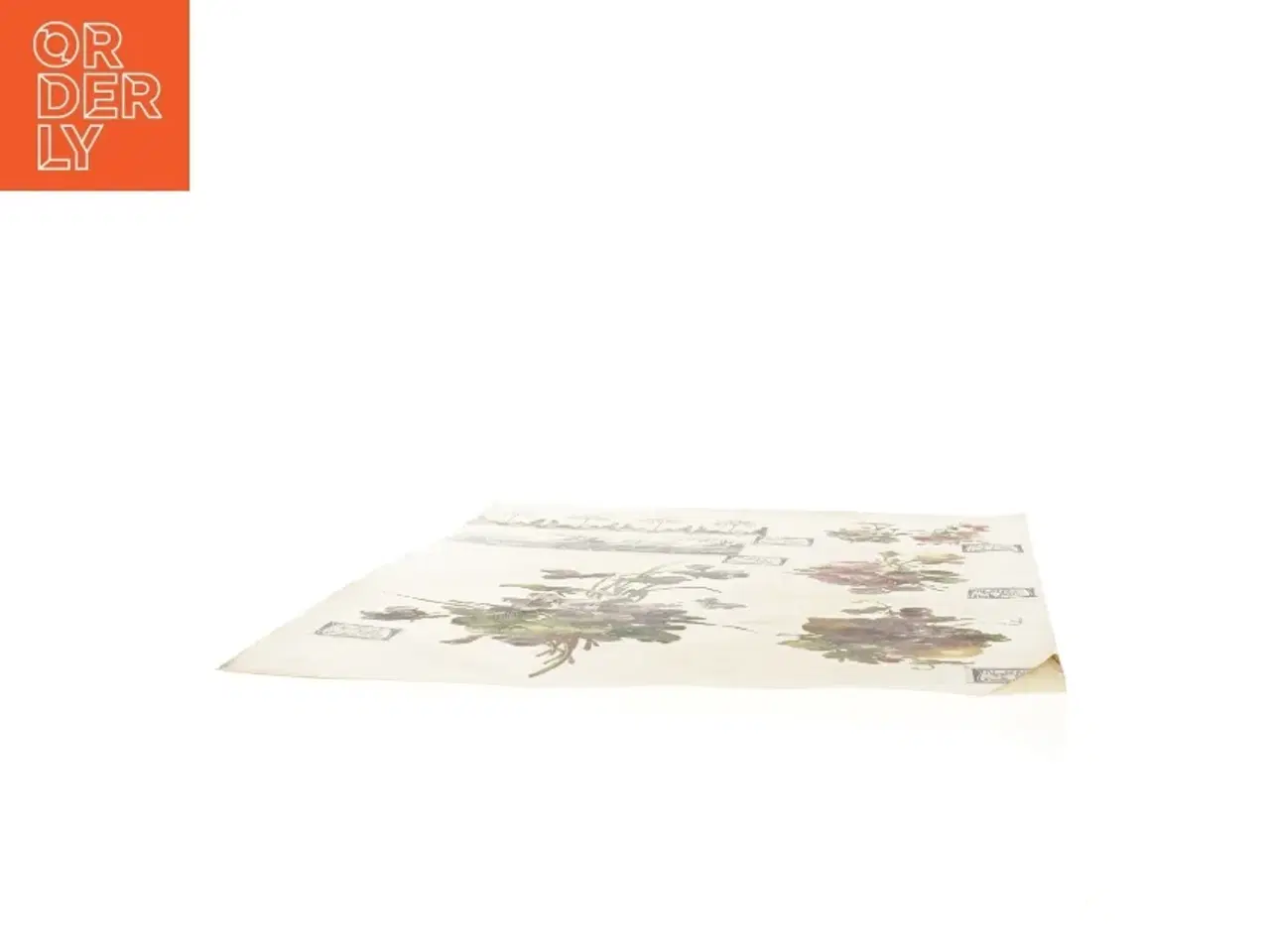 Billede 2 - Botanisk plakat (str. 41 x 28,5 cm)