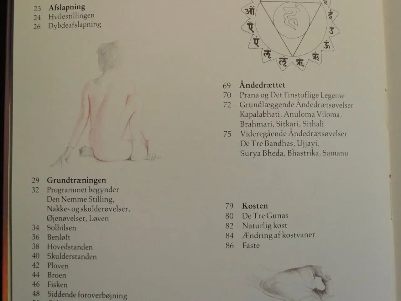 Billede 2 - politikens yogabog - asanas åndedræt meditation af
