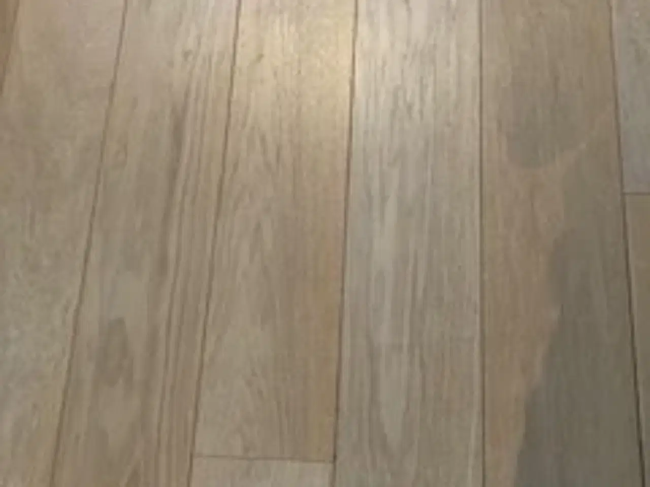Billede 1 - Massivt egegulv 20x180 mm