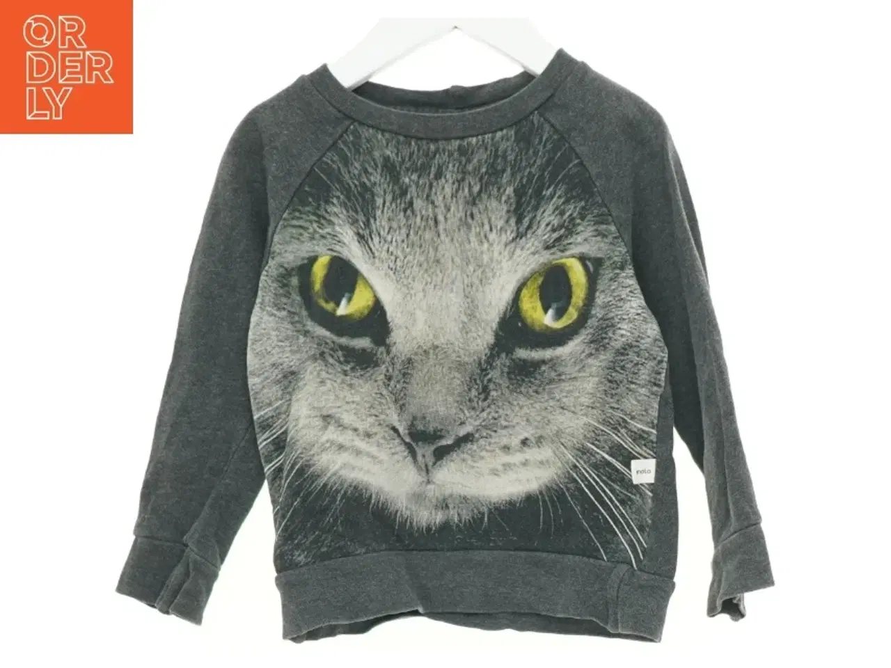 Billede 1 - Sweatshirt med kattemotiv fra Molo (str. 98 cm)