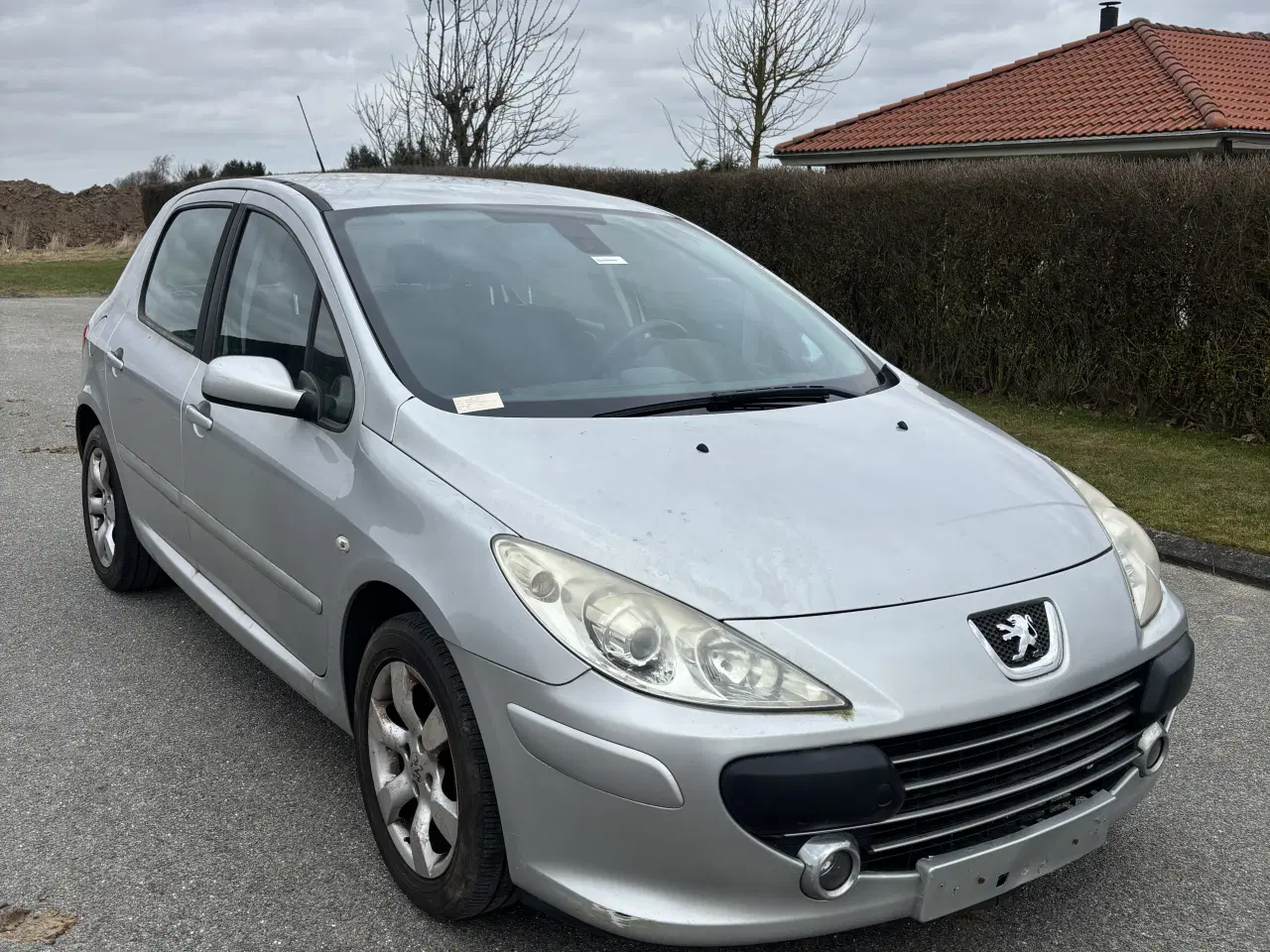 Billede 1 - Peugeot 307 1,6 i - nysynet
