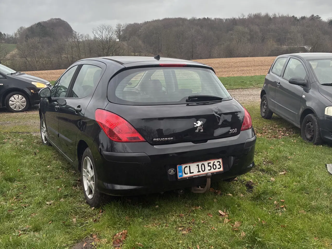 Billede 1 - Peouget 308