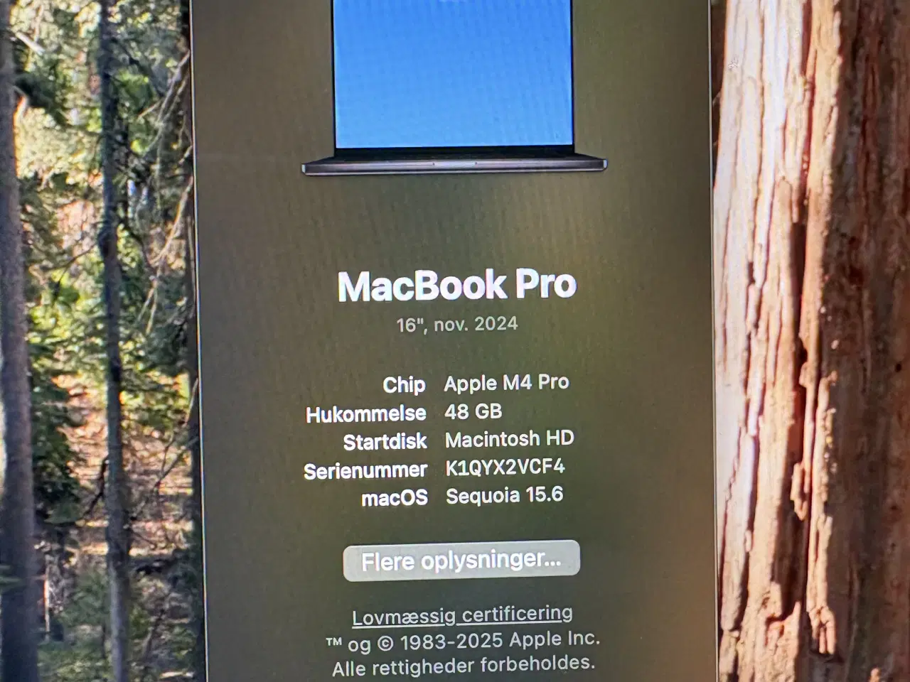 Billede 3 - MacBook Pro M4 16" 48GB 512GB (Space Black)