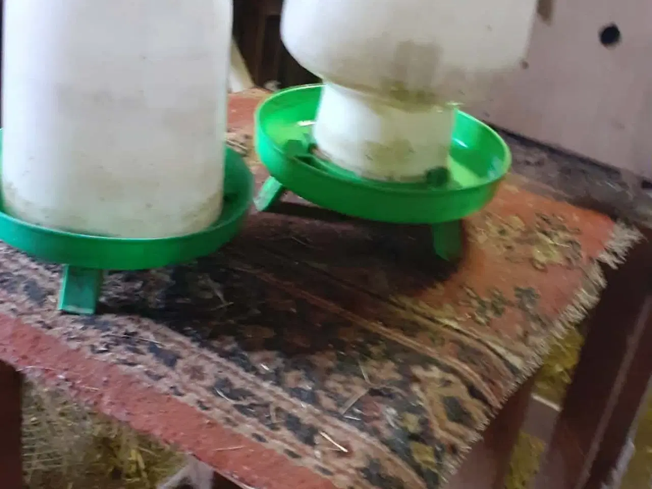 Billede 1 - vandtrug-due reder,udstillings byr