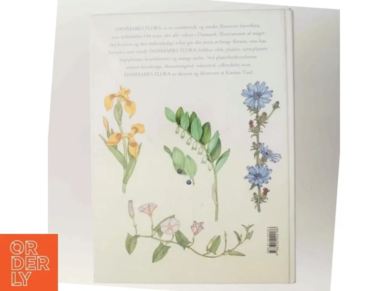 Billede 3 - Danmarks flora af Kirsten Tind (f. 1943-08-19) (Bog)