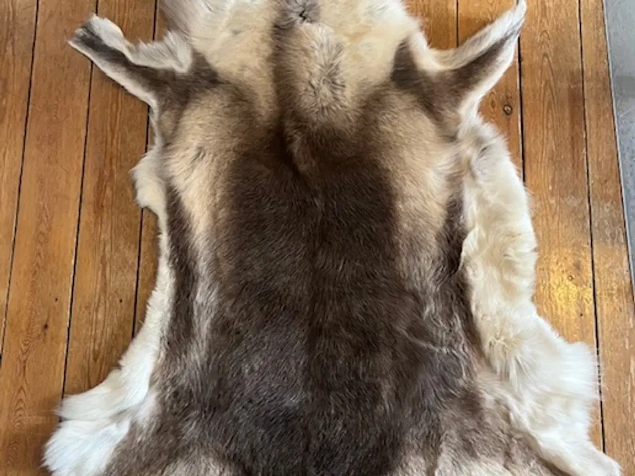 Billede 4 - Smukt og naturligt rensdyrskind – 110 x 110 cm