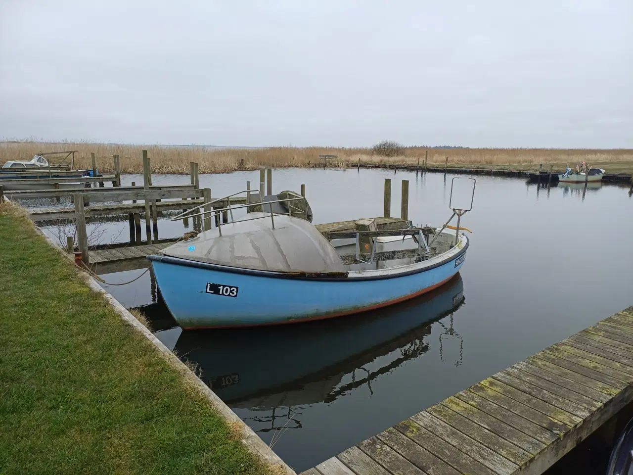 Billede 2 - Damjolle med nyere motor og selvhaler