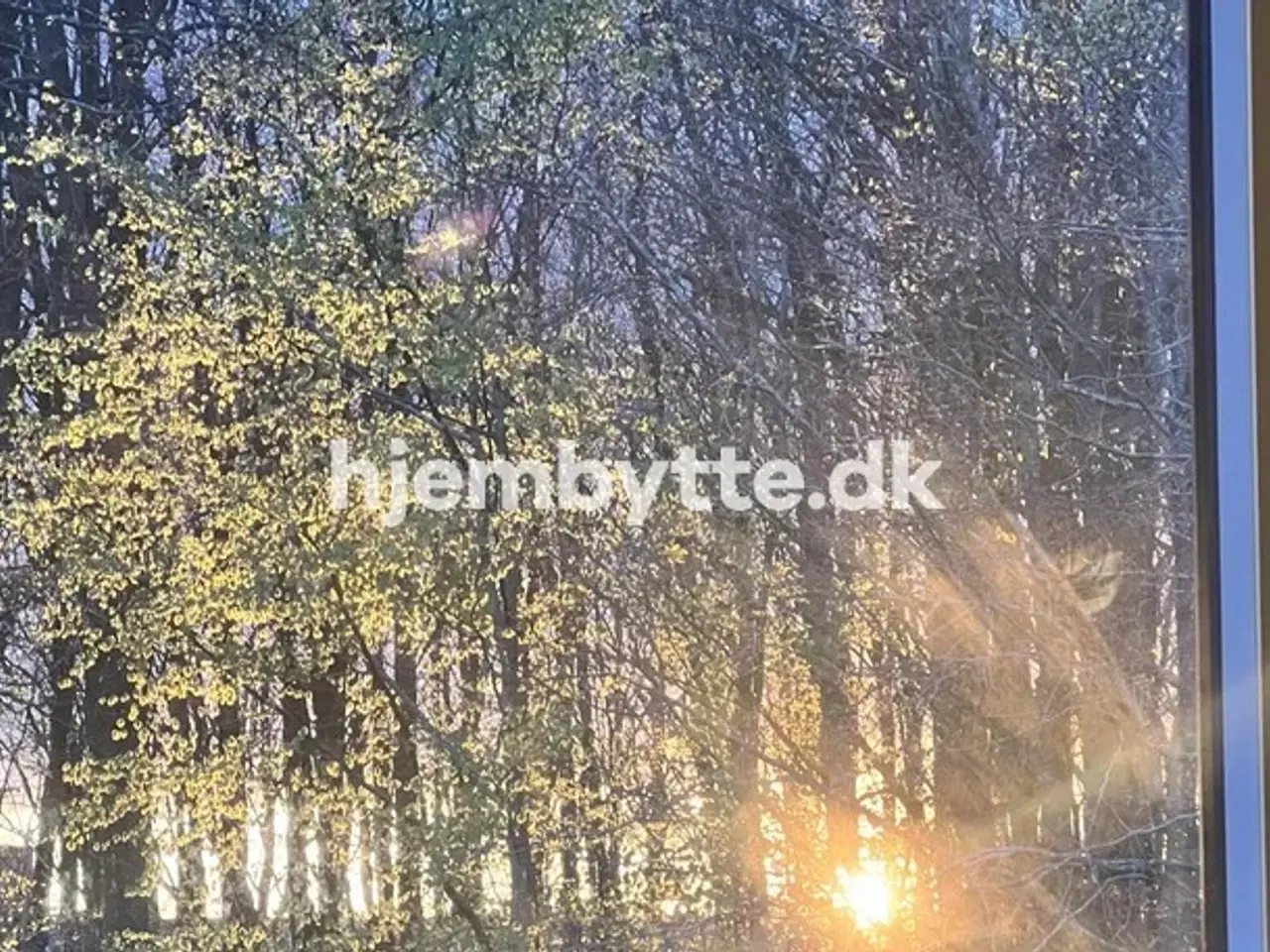 Billede 5 - Hjembytte - Fredskovhellet