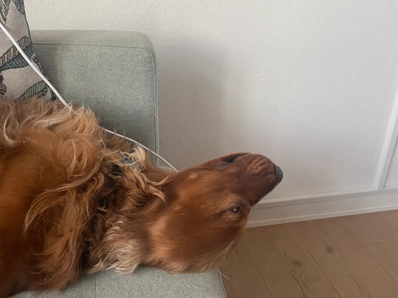 Billede 10 - Velsejlende Bostrøm 31