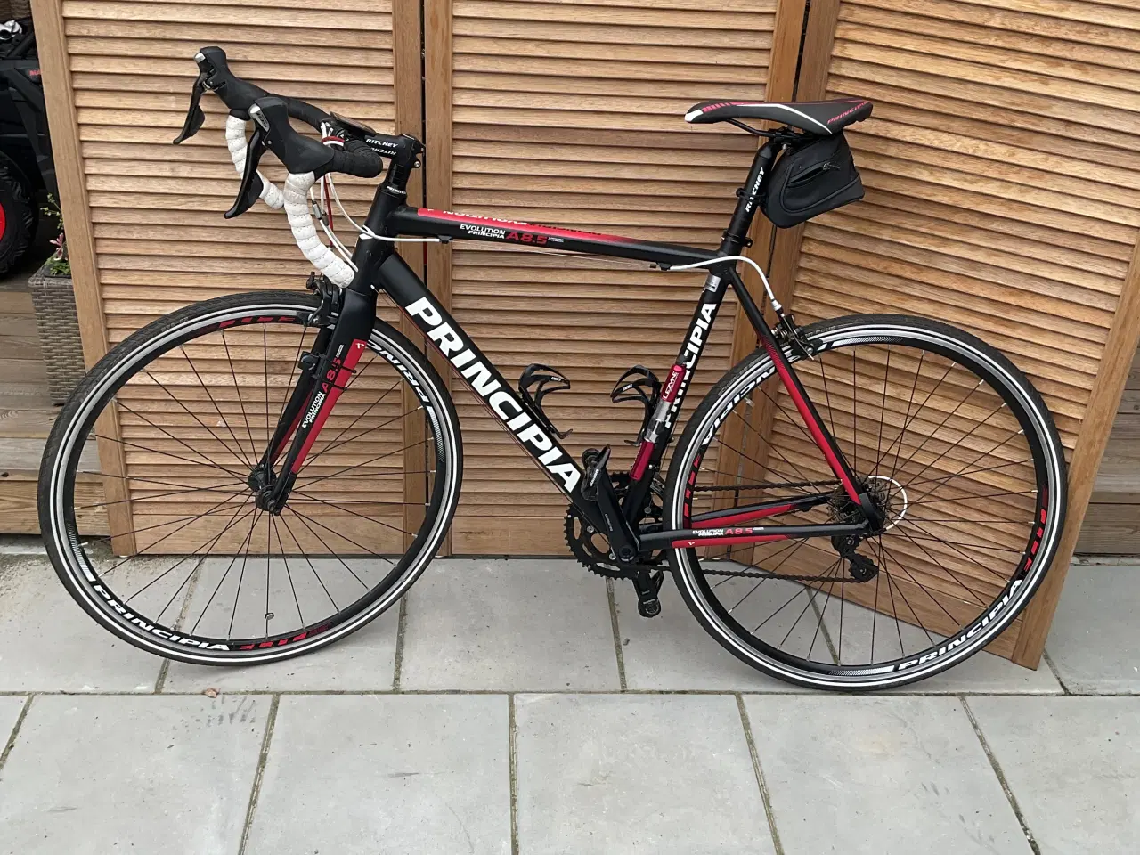 Billede 1 - Principia Evolution