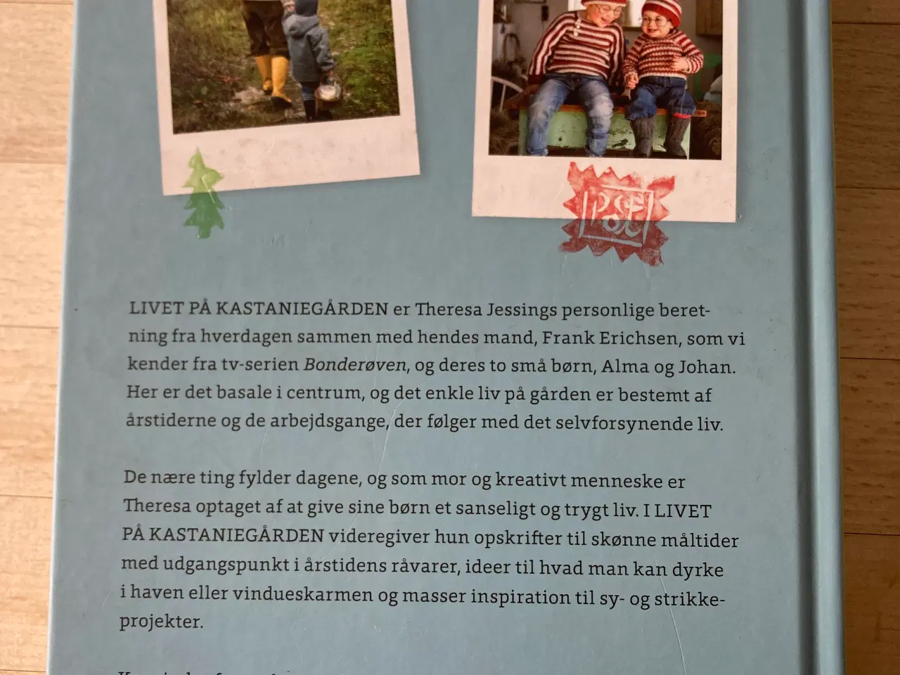 Billede 2 - Livet på Kastaniegården, Theresa Jessing 