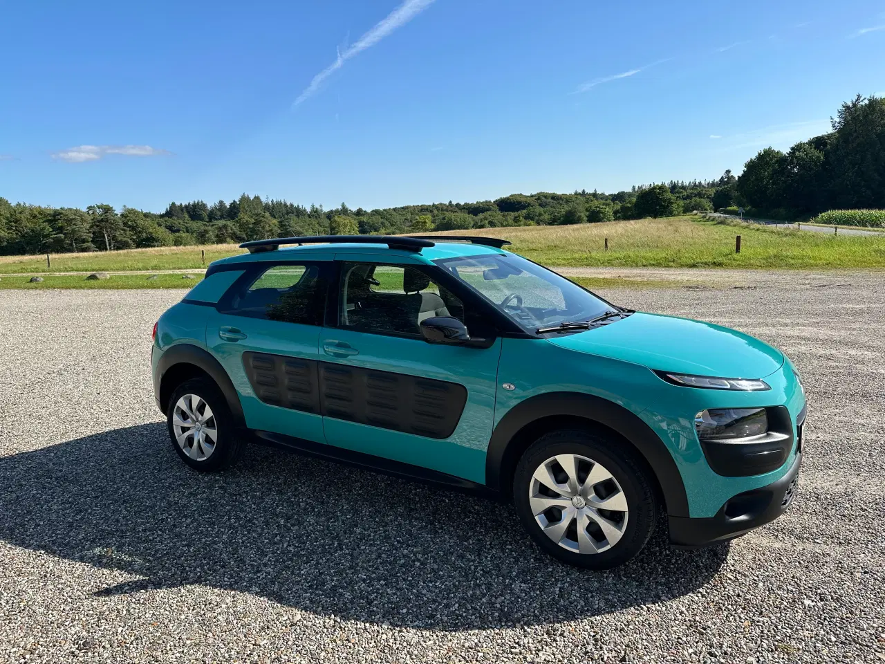 Billede 5 - Citroën c4 cactus