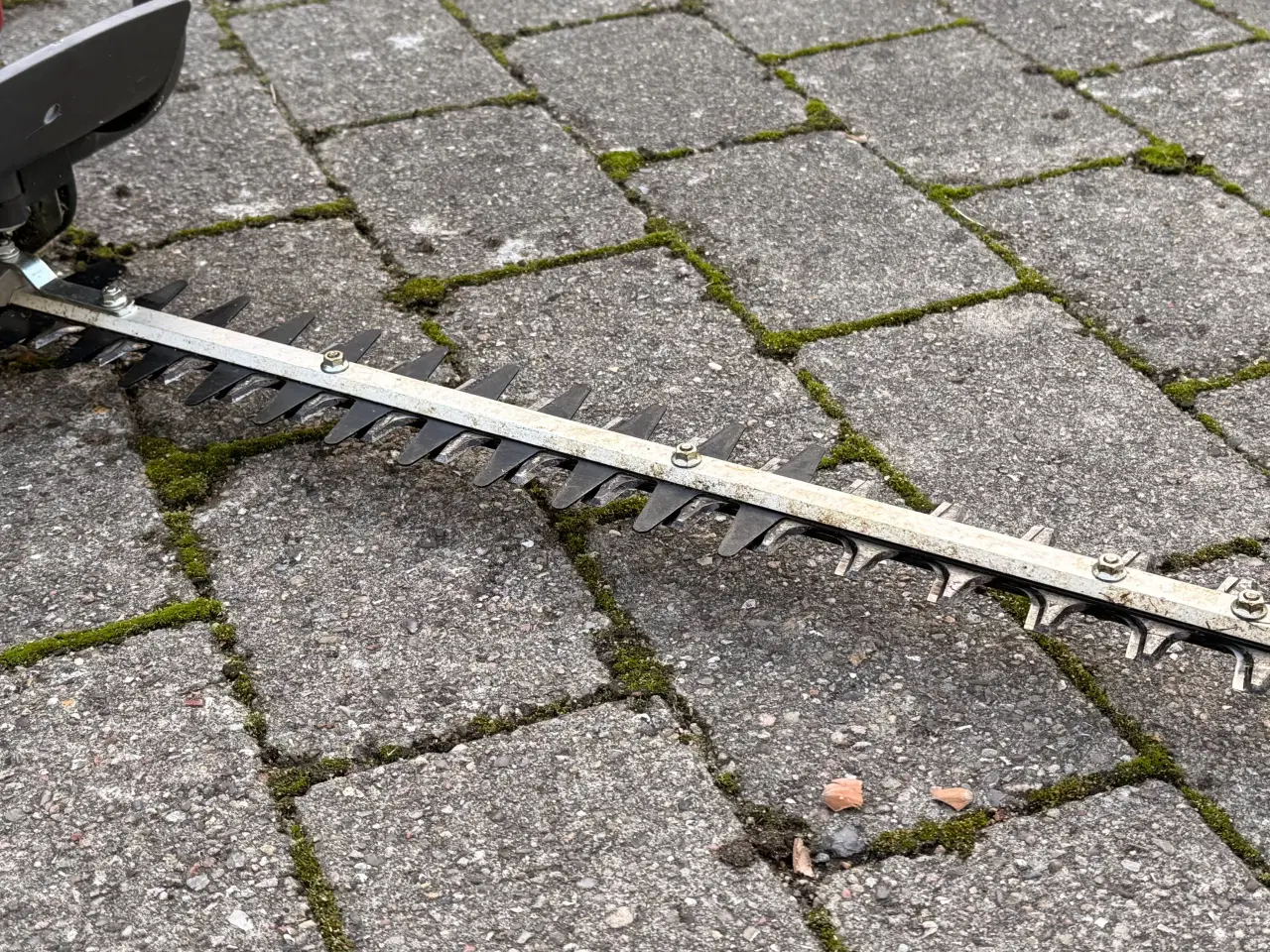 Billede 3 - Honda hækkeklipper