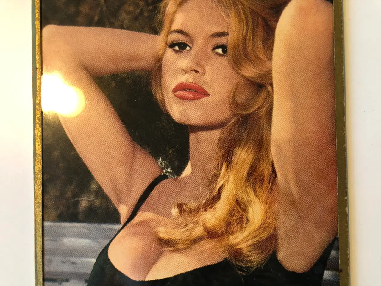 Billede 4 - Billede af Brigitte Bardot