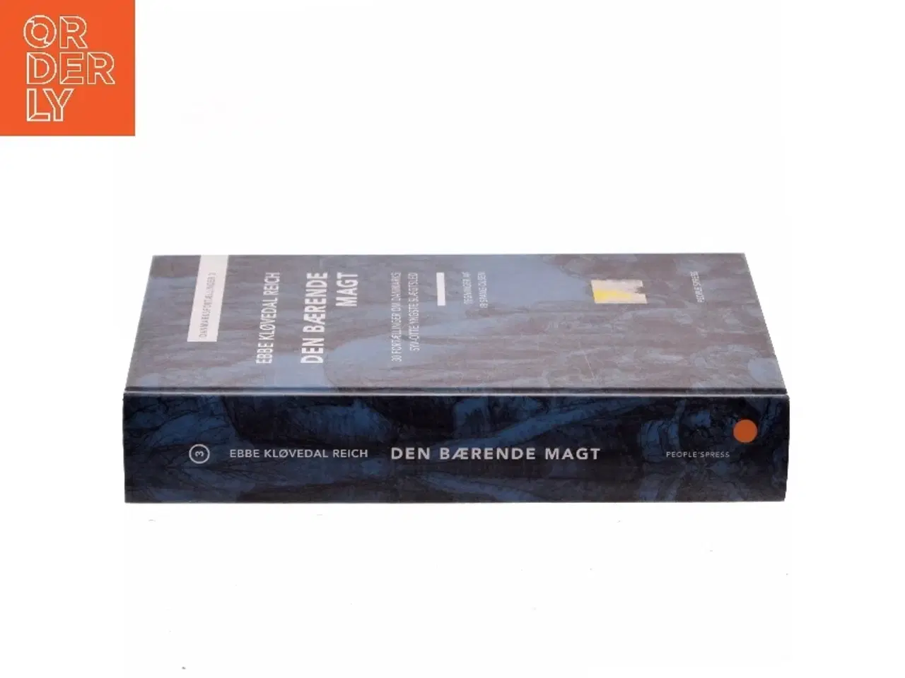 Billede 2 - Den bærende magt : 30 fortællinger om Danmarks syv-otte yngste slægtled af Ebbe Kløvedal Reich (Bog)