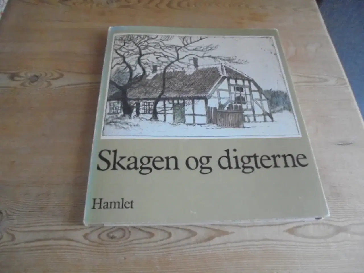 Billede 1 - Skagen og digterne  - meget fin stand  
