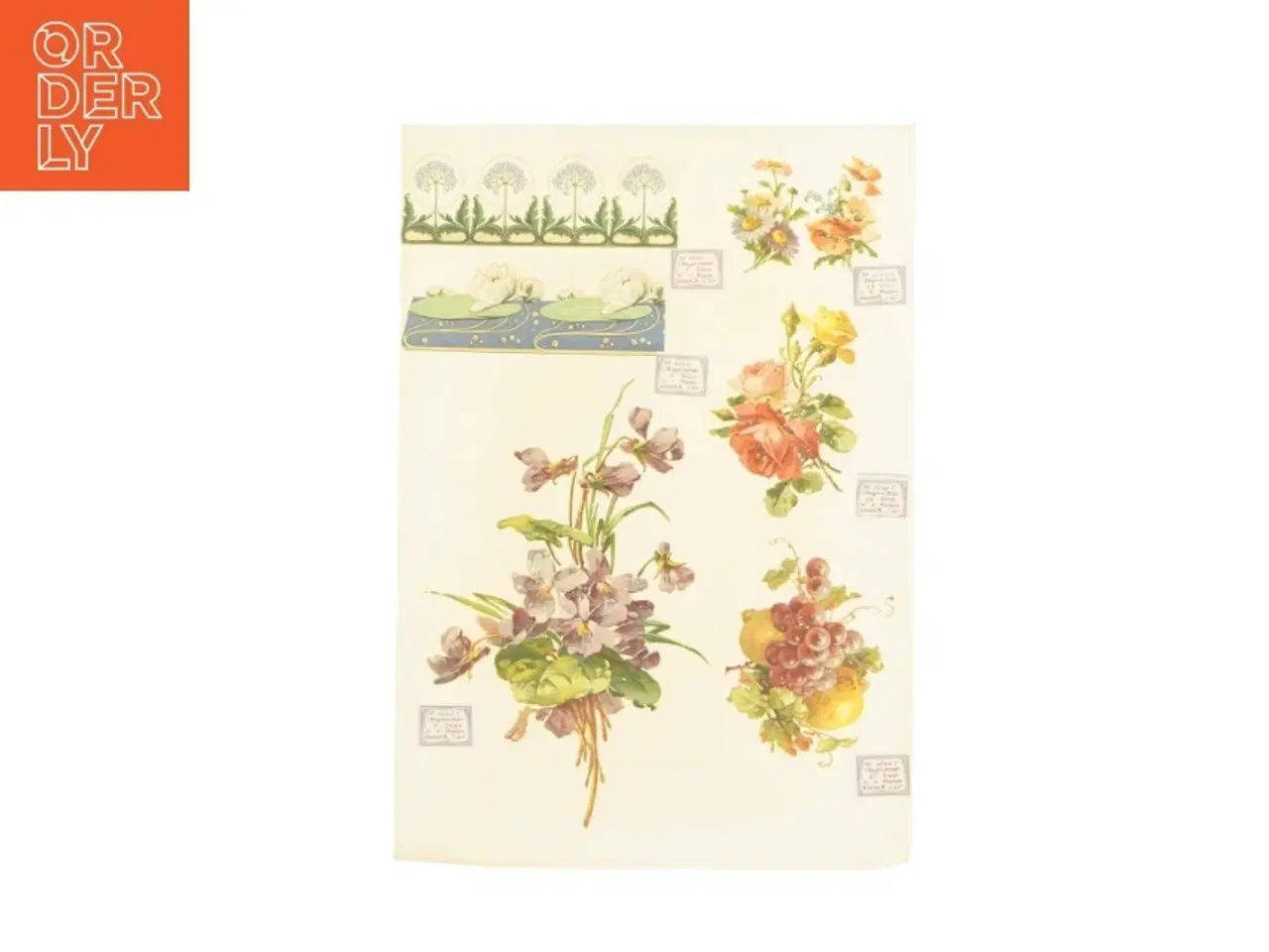 Billede 1 - Botanisk plakat (str. 41 x 28,5 cm)