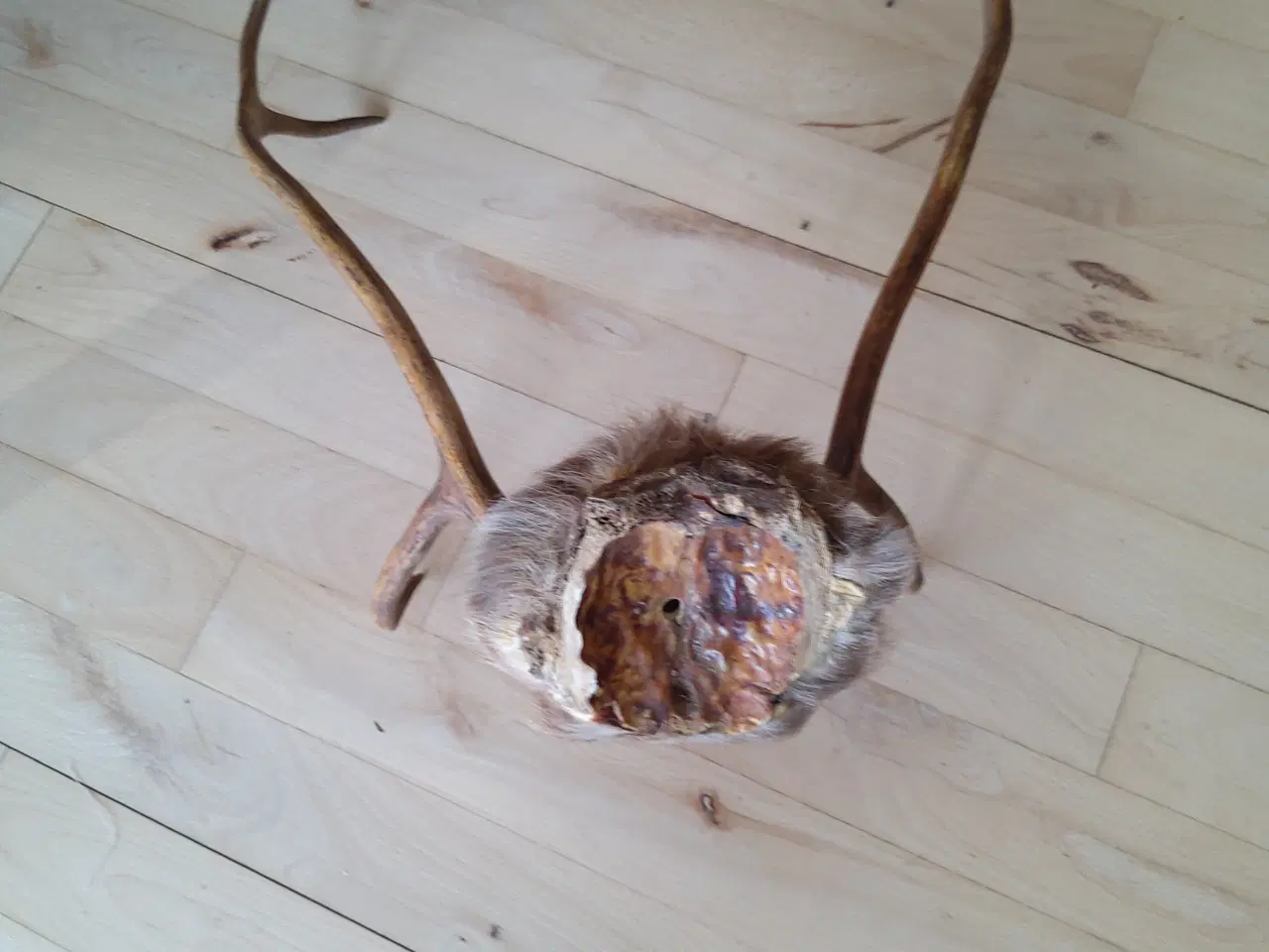 Billede 4 - Gevir til ophæng.