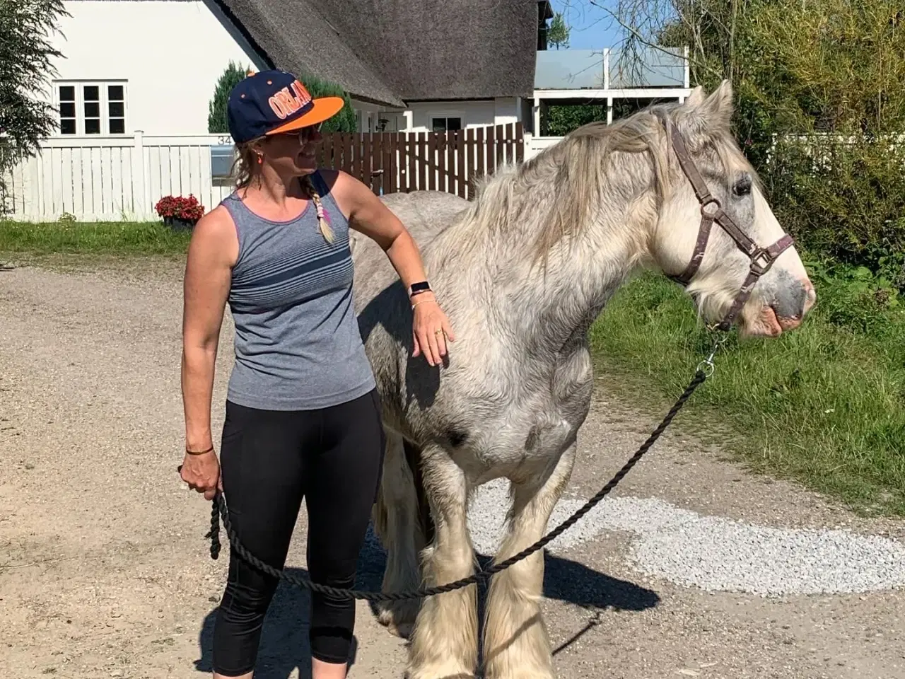 Billede 7 - Skøn dreng søger det rigtige hjem