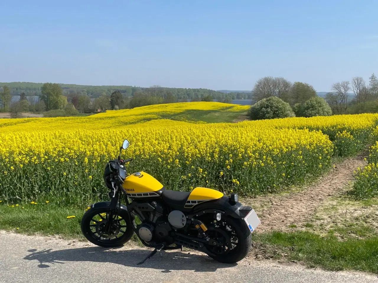 Billede 7 - Motorcykel Yamaha XV950CR