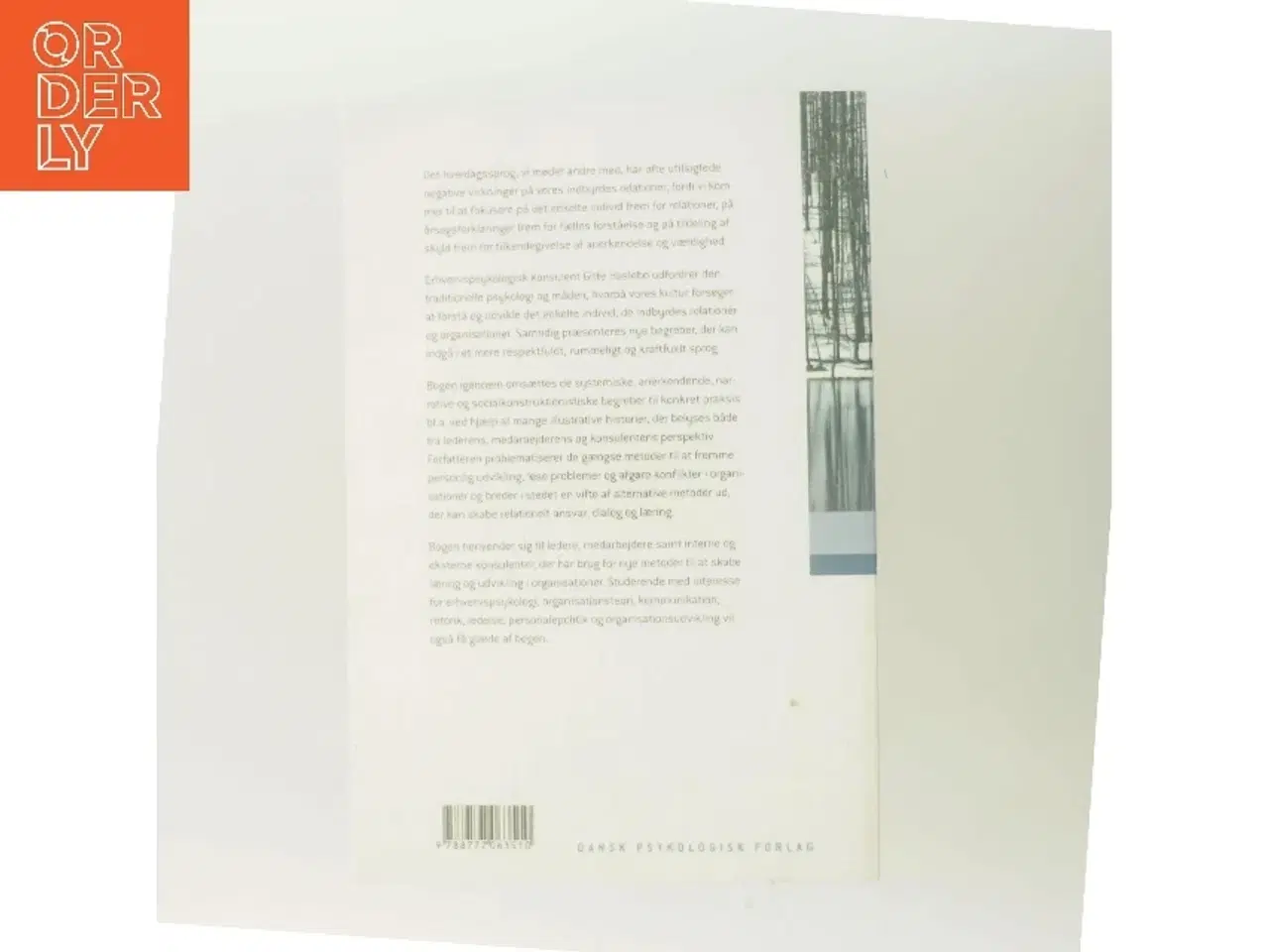 Billede 3 - Relationer i organisationer : en verden til forskel af Gitte Haslebo (Bog)