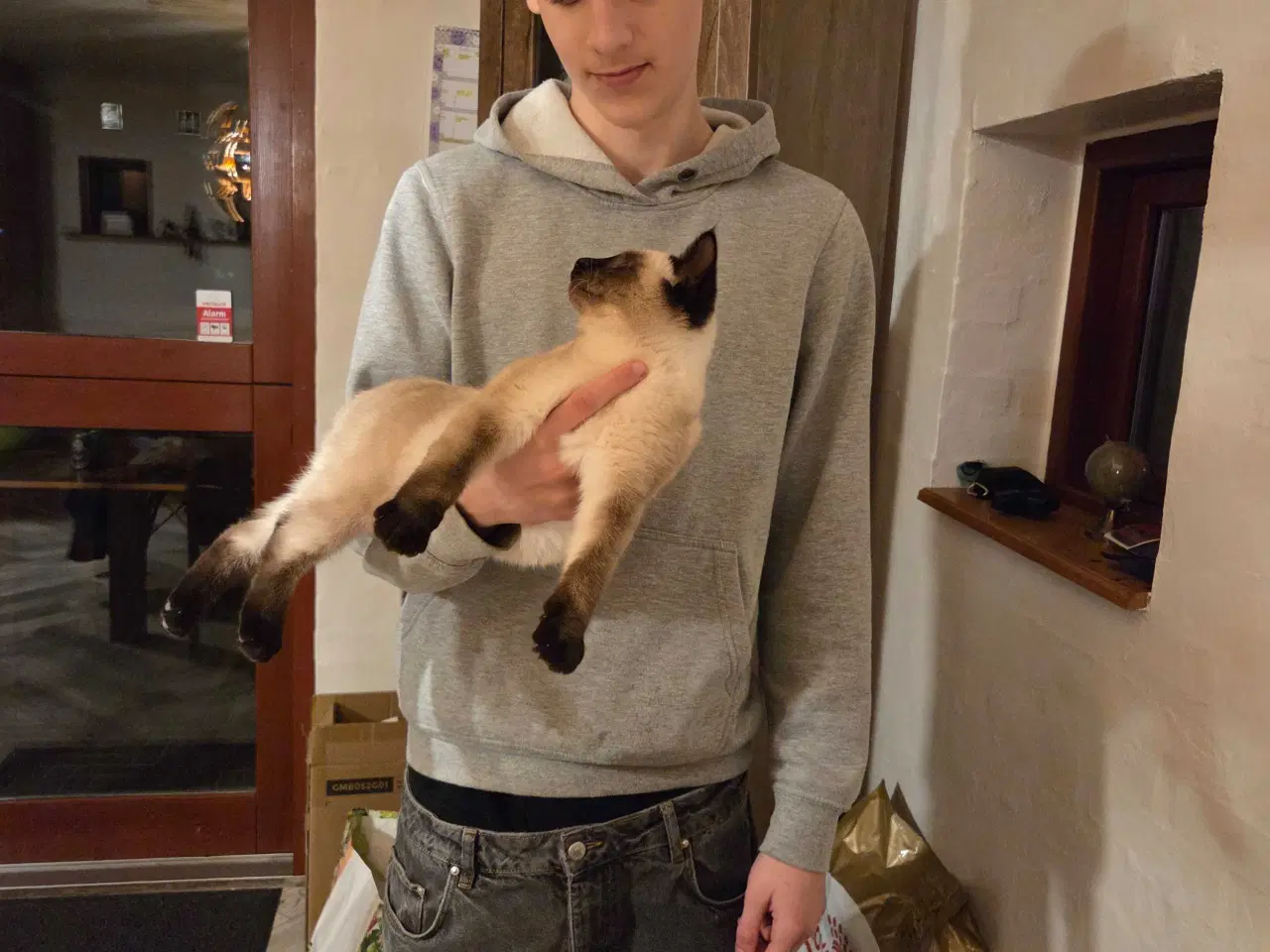 Billede 4 - Sødeste han killing