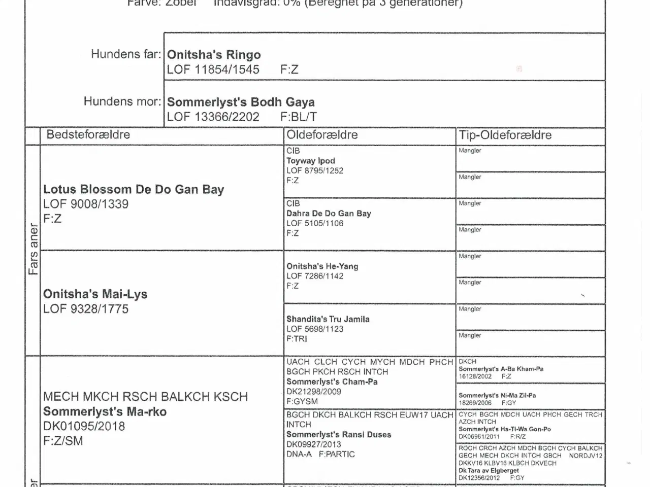 Billede 9 - Tibetansk Spaniel - pige 22 mdr.