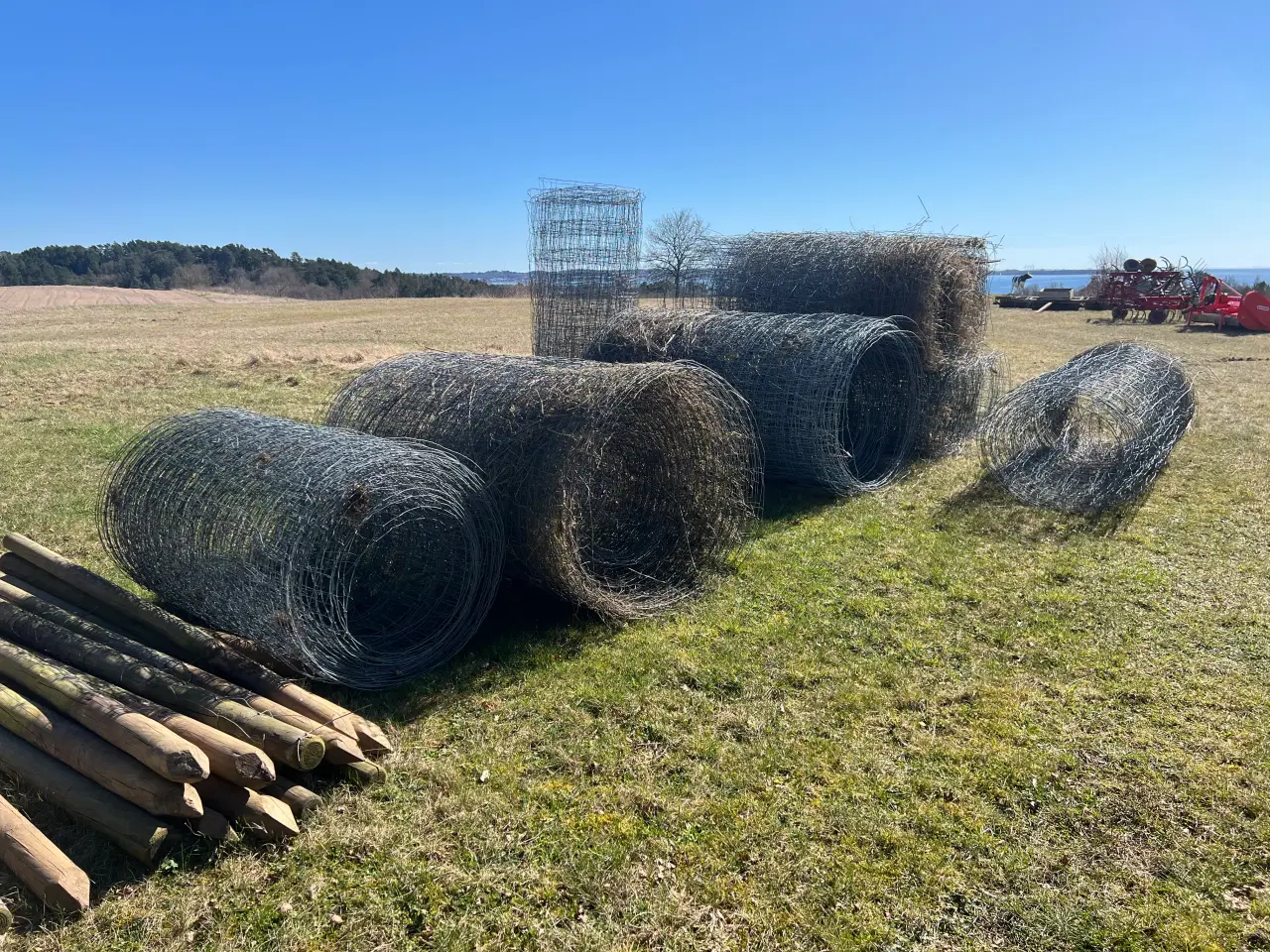 Billede 3 - Vildthegn, ca 400 m, med træpæle, kraftig tråd