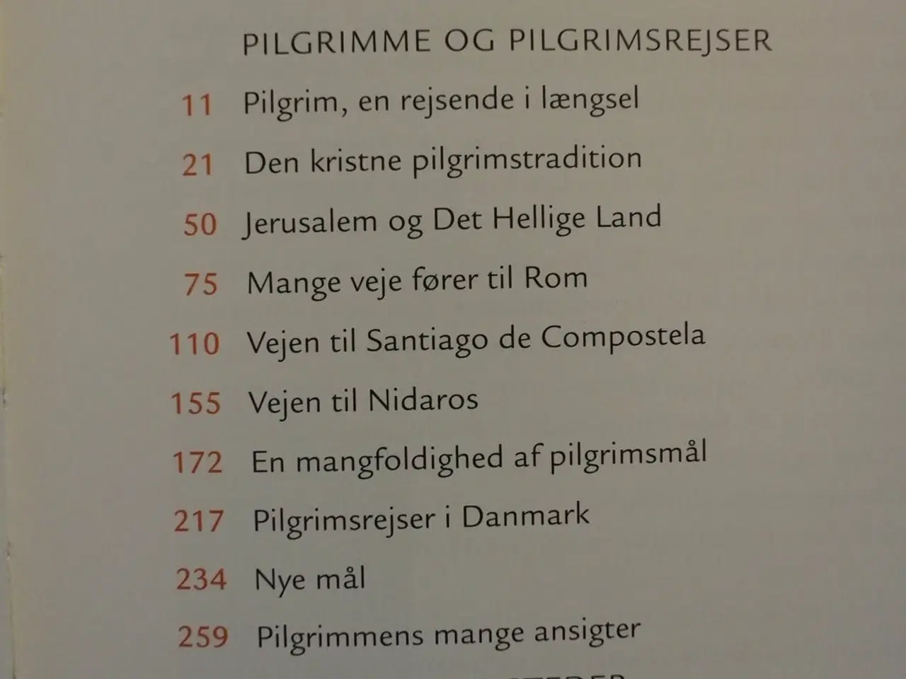 Billede 2 - gyldendals bog om pilgrimme og pilgrimsrejser, Af 